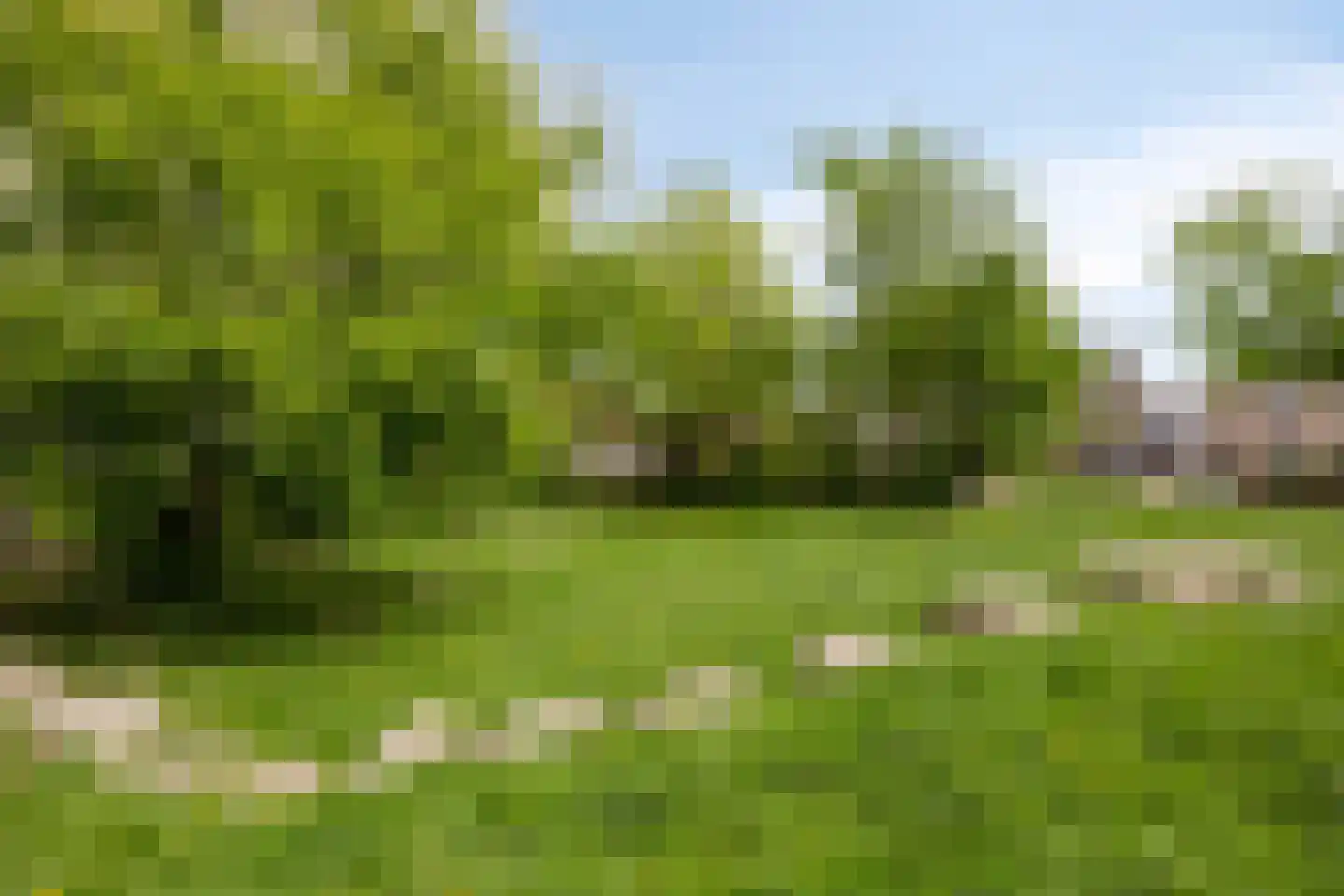 Heermanslaan 23 Waalwijk thumbnail 32