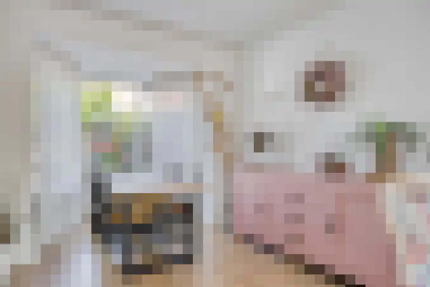 Heermanslaan 23 Waalwijk thumbnail 5