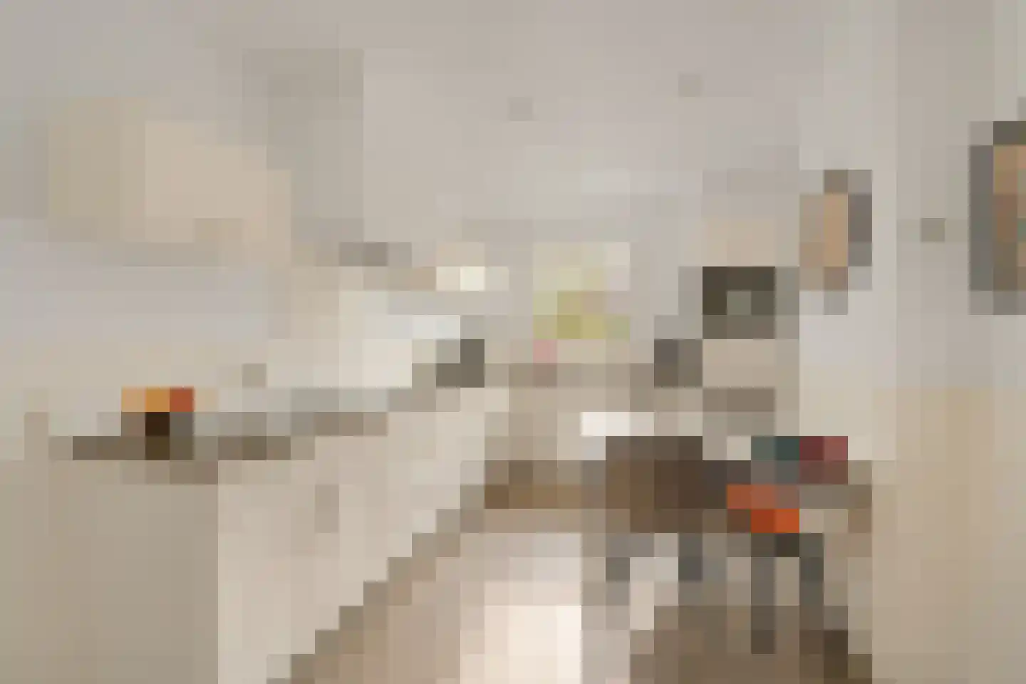 Heermanszwet 1 Rijsenhout thumbnail 11