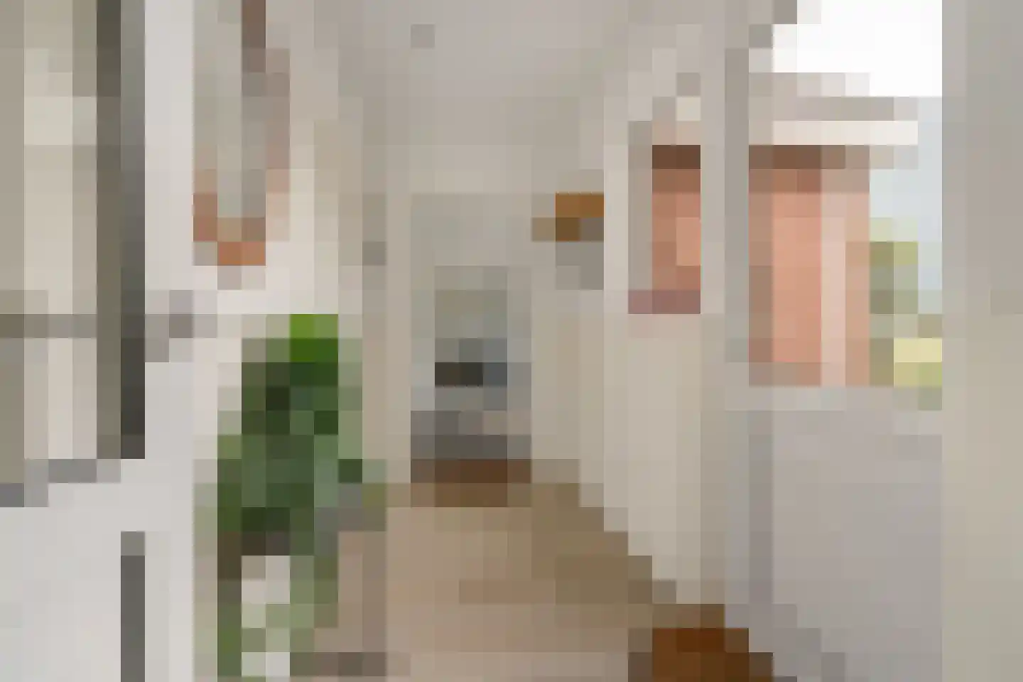 Heermanszwet 1 Rijsenhout thumbnail 15