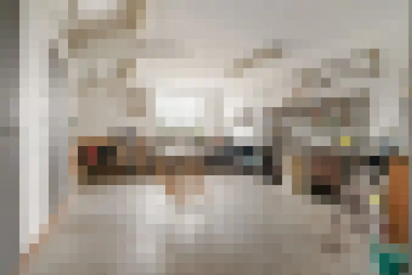Heermanszwet 1 Rijsenhout thumbnail 22