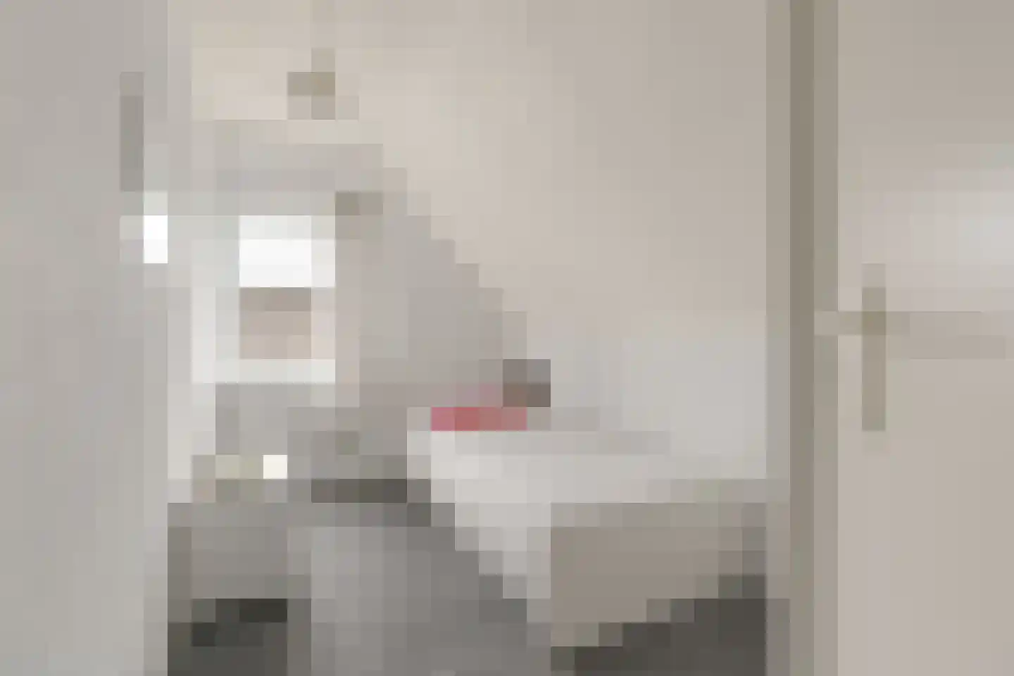 Heermanszwet 1 Rijsenhout thumbnail 32