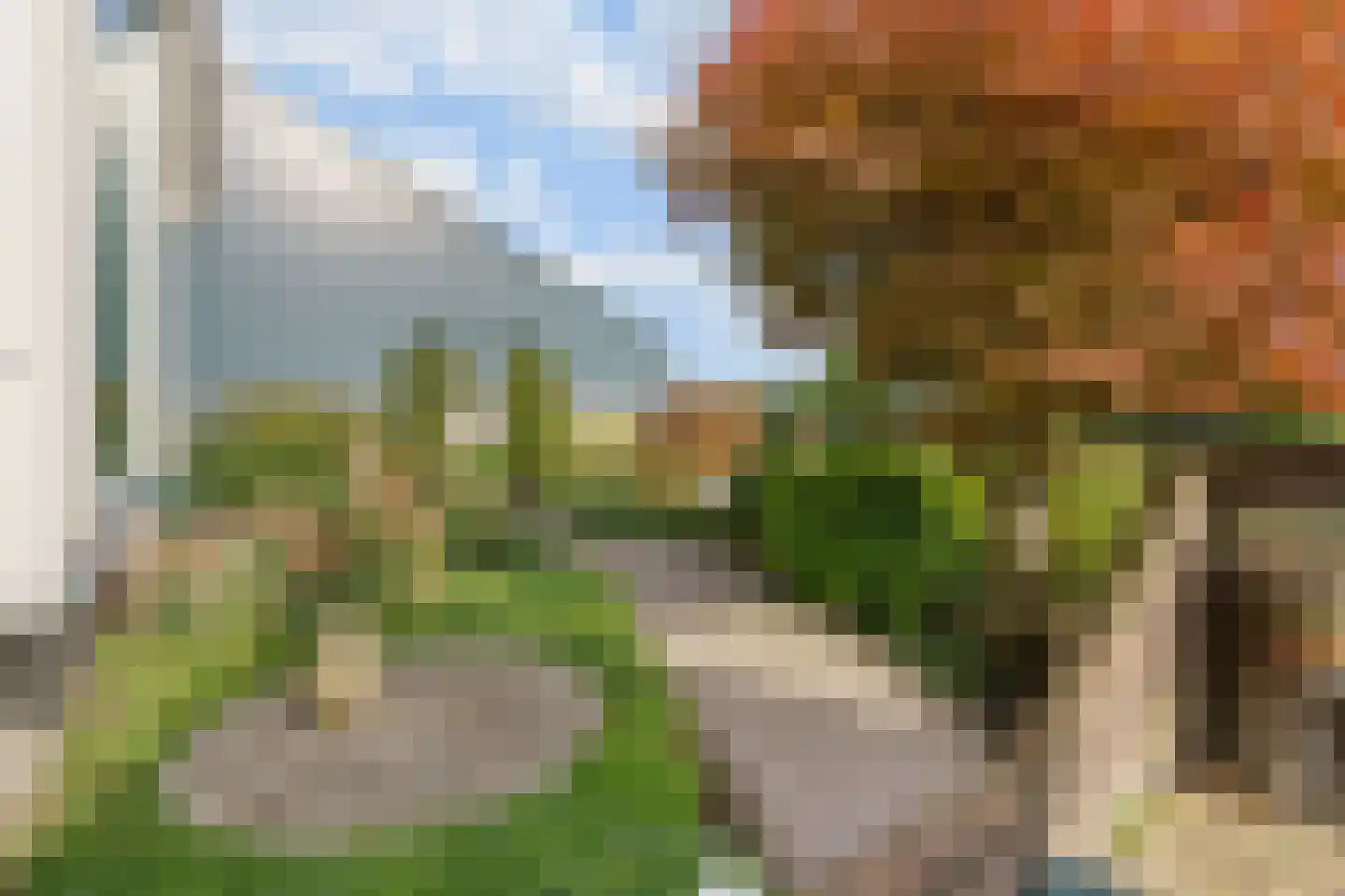 Heermanszwet 1 Rijsenhout thumbnail 35