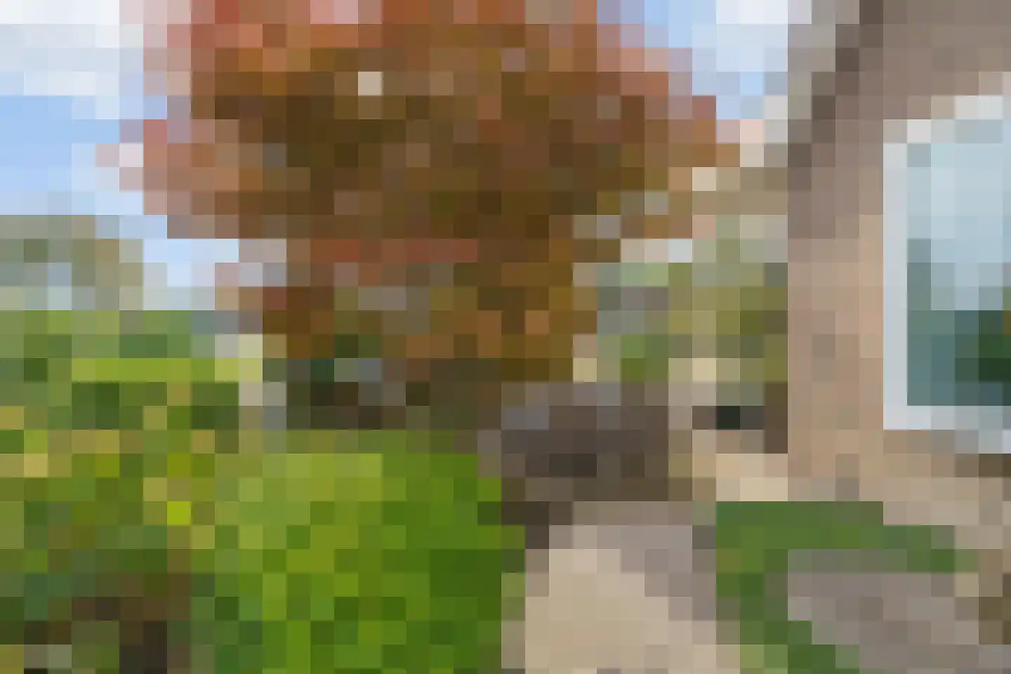 Heermanszwet 1 Rijsenhout thumbnail 37