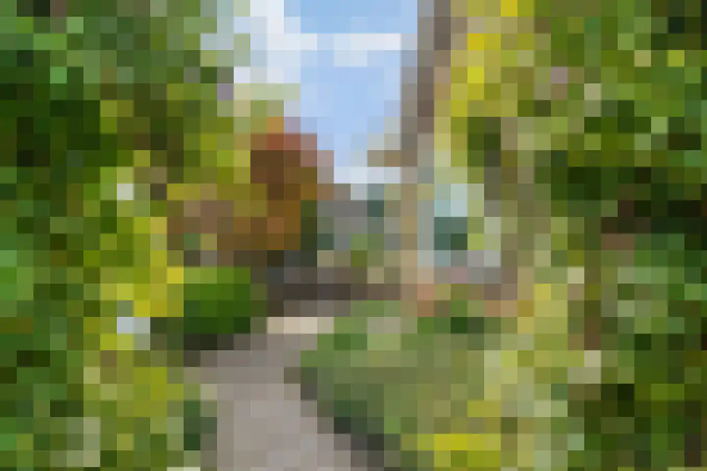 Heermanszwet 1 Rijsenhout thumbnail 38
