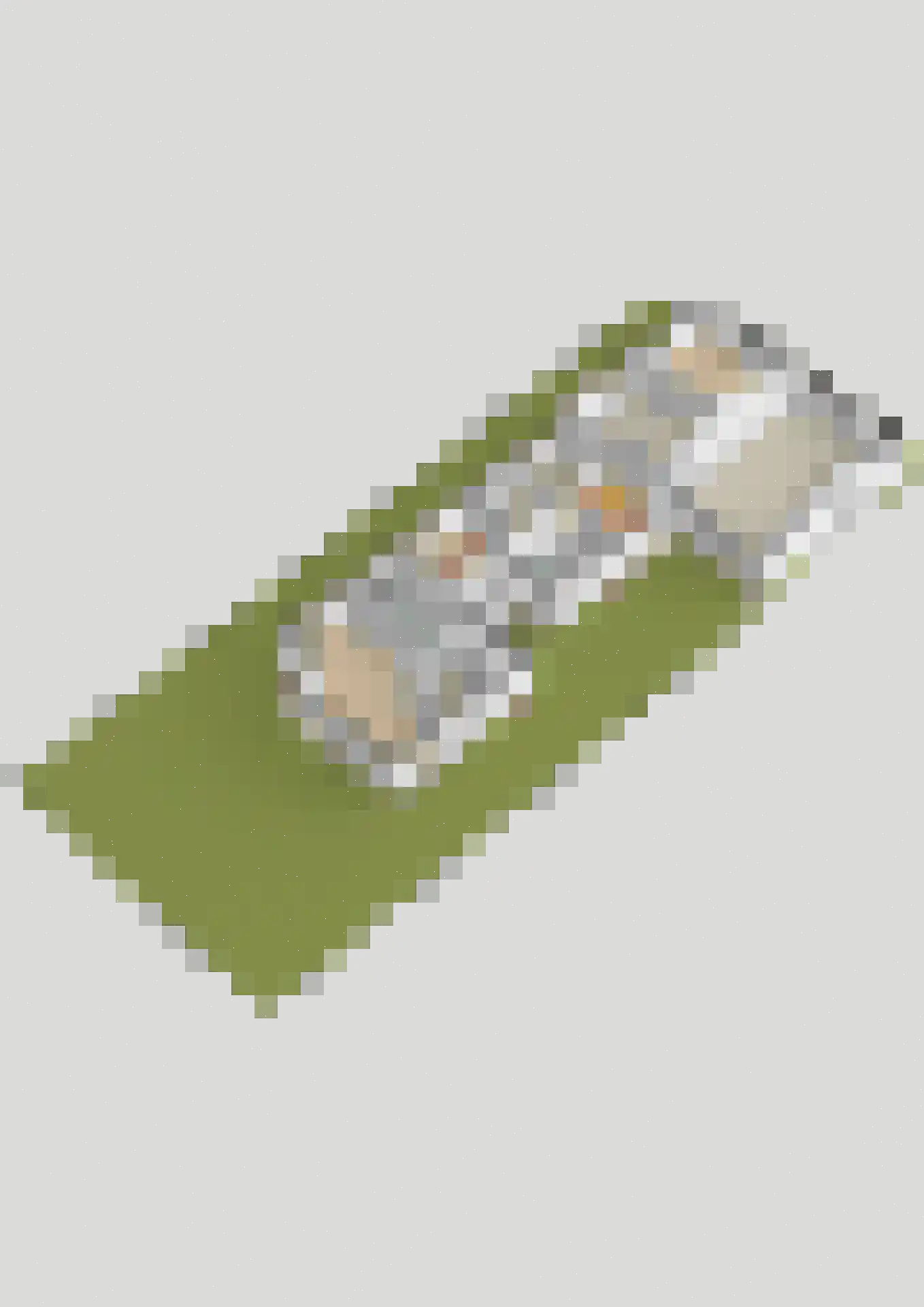 Heermanszwet 1 Rijsenhout thumbnail 50