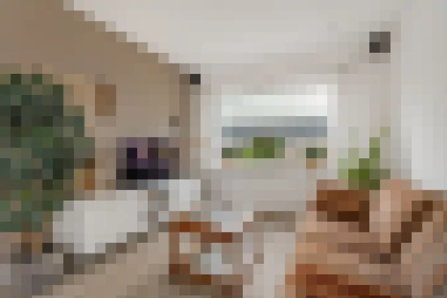 Heermanszwet 1 Rijsenhout thumbnail 8