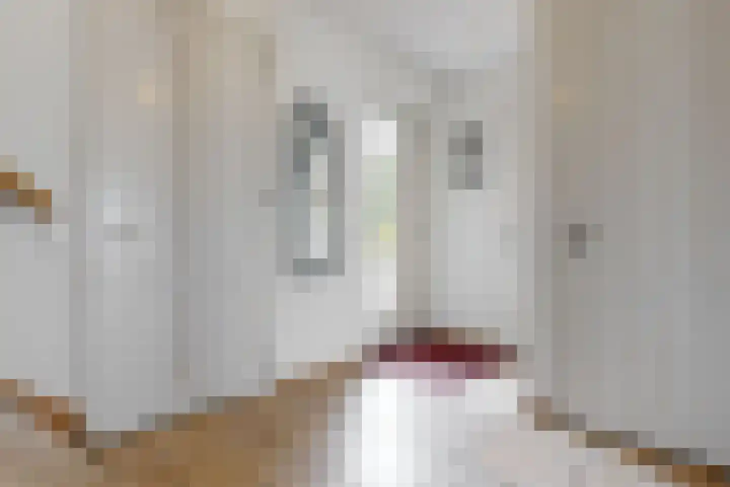 Heermanszwet 21 Rijsenhout thumbnail 13