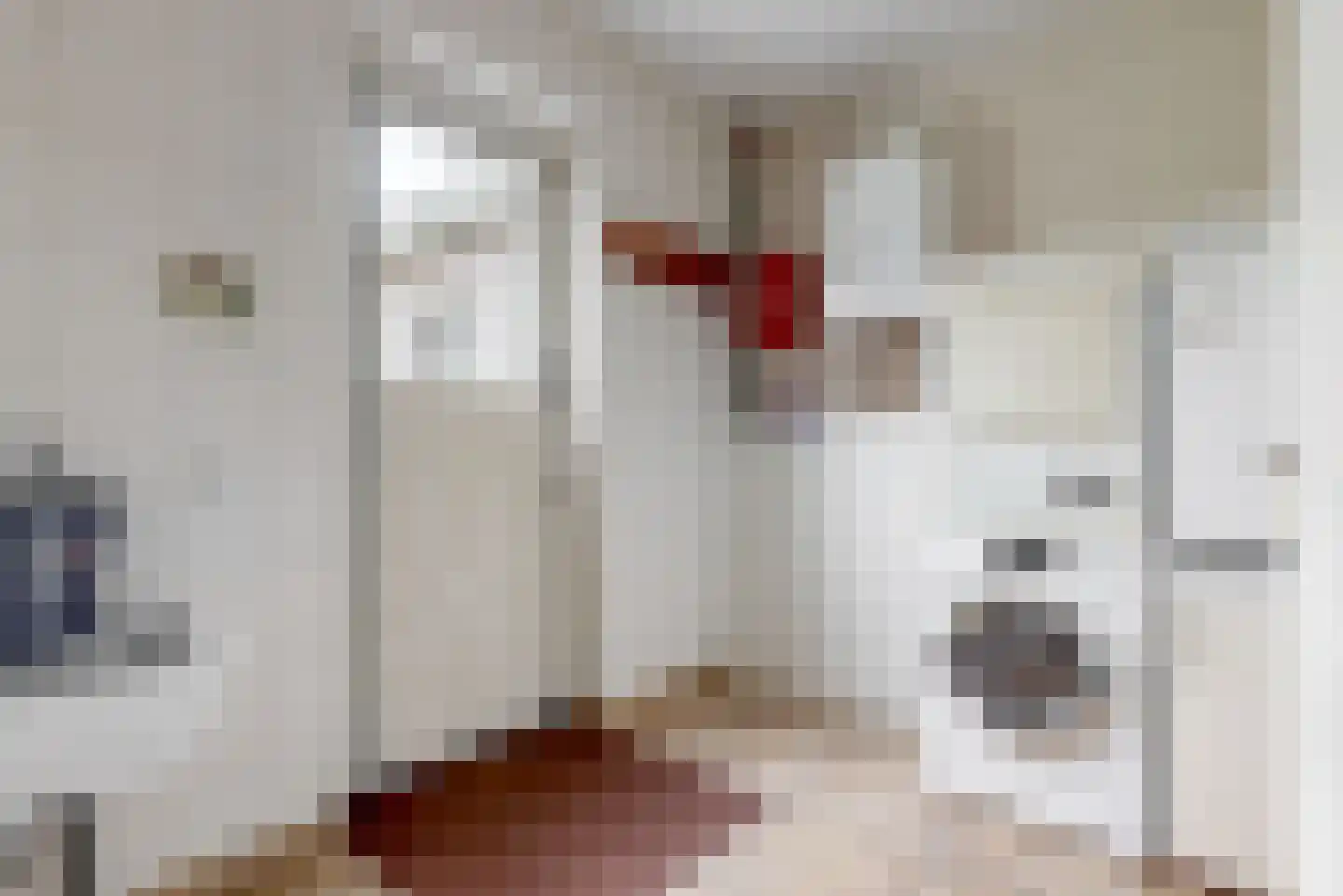 Heermanszwet 21 Rijsenhout thumbnail 25