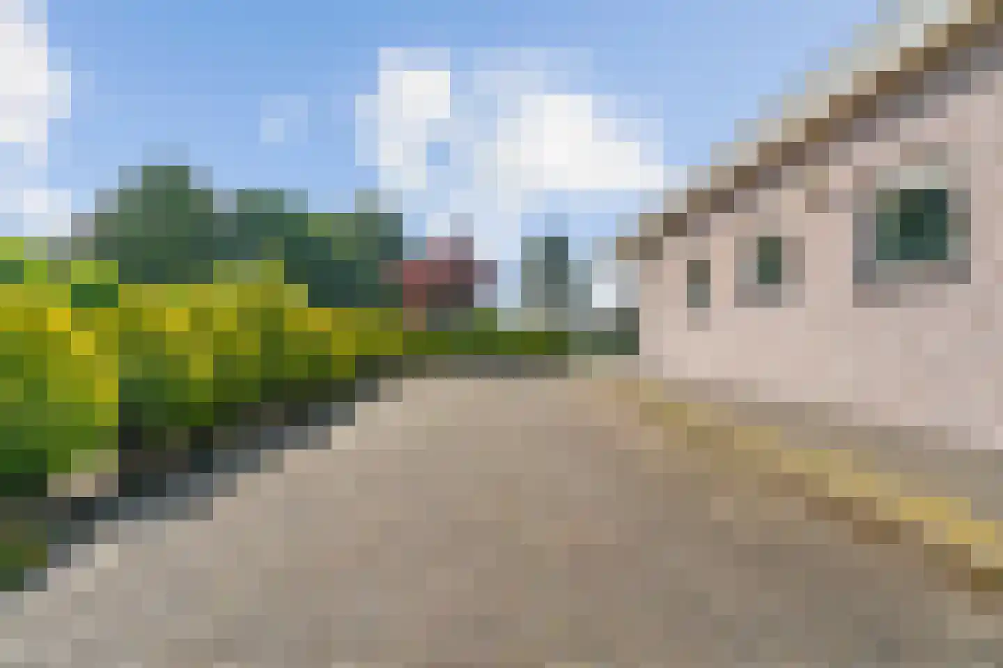 Heermanszwet 21 Rijsenhout thumbnail 45