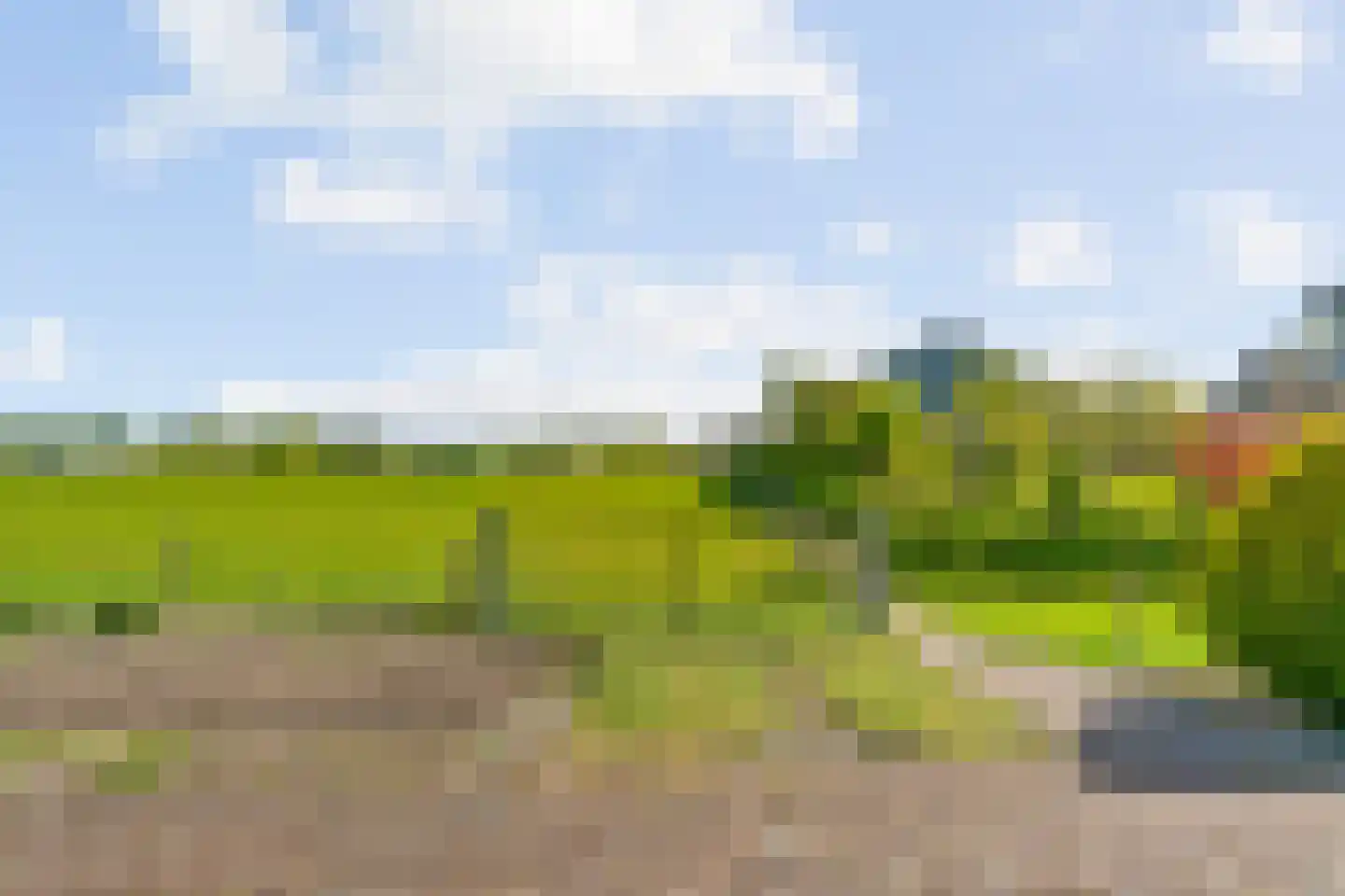 Heermanszwet 21 Rijsenhout thumbnail 50