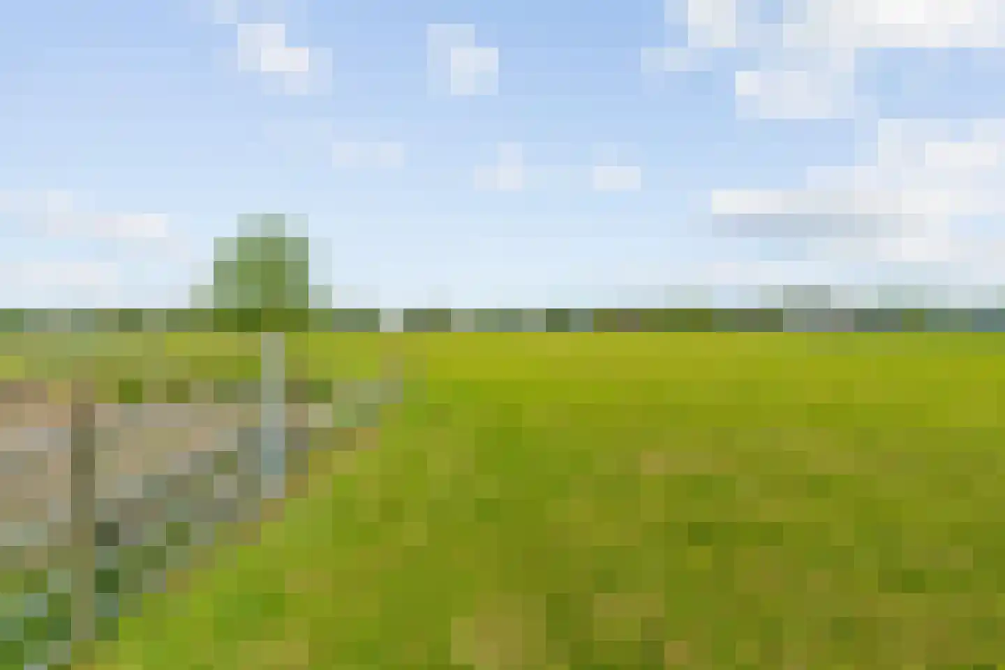 Heermanszwet 21 Rijsenhout thumbnail 51