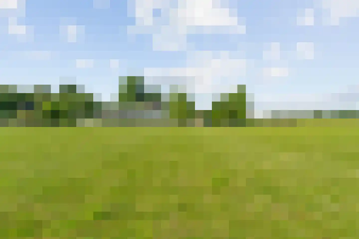 Heermanszwet 21 Rijsenhout thumbnail 52