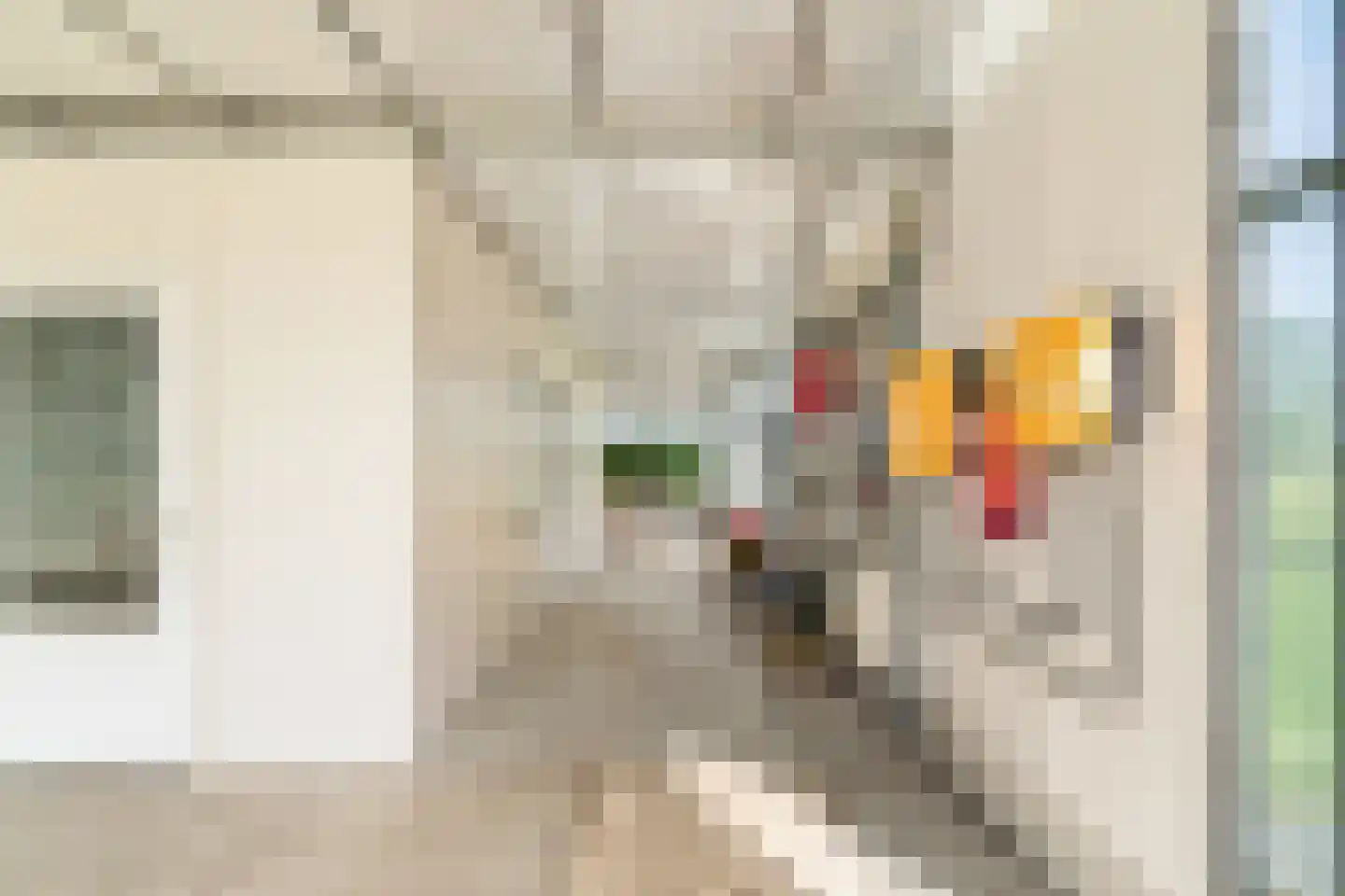 Heermanszwet 21 Rijsenhout thumbnail 58