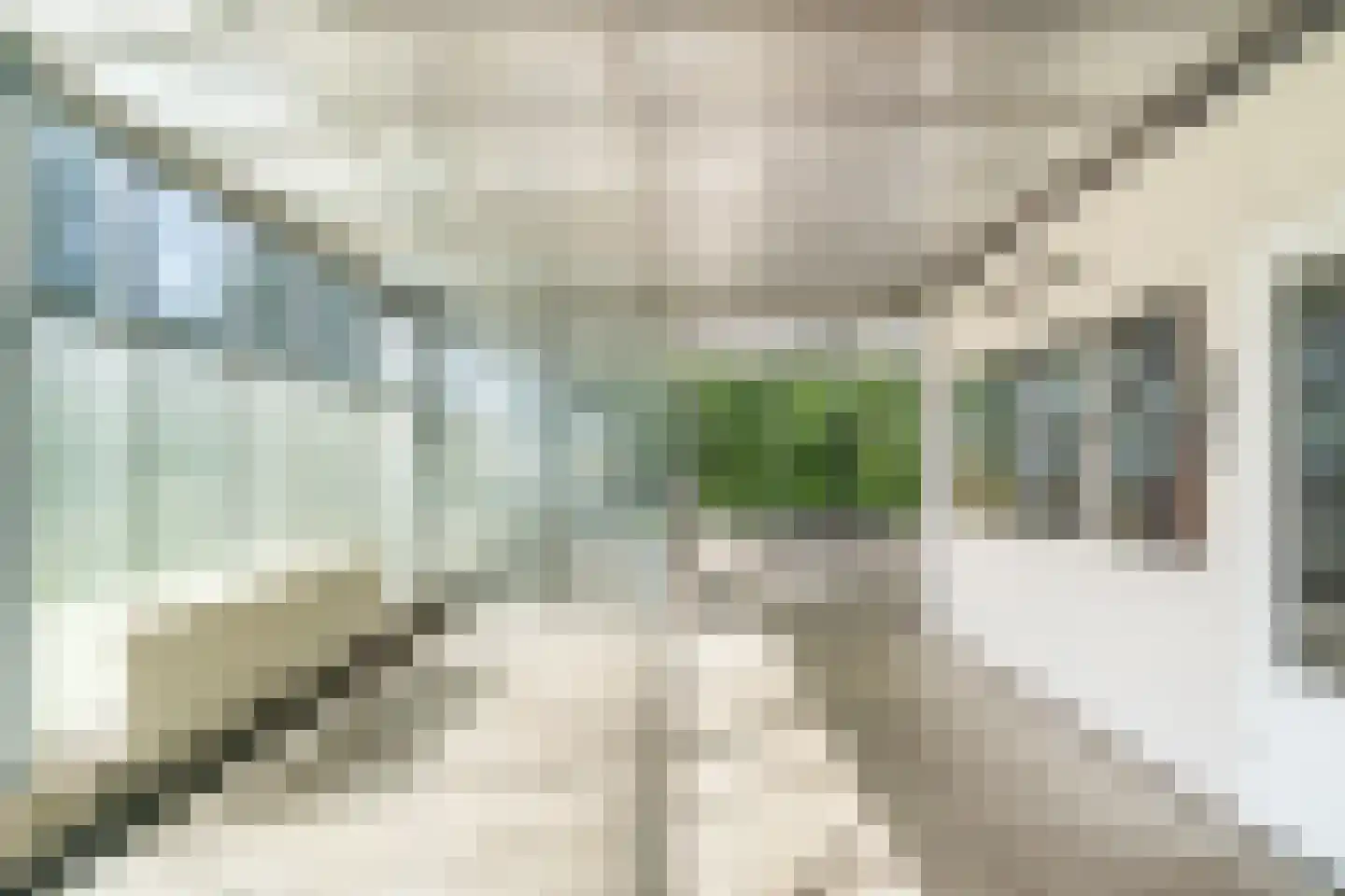Heermanszwet 21 Rijsenhout thumbnail 59