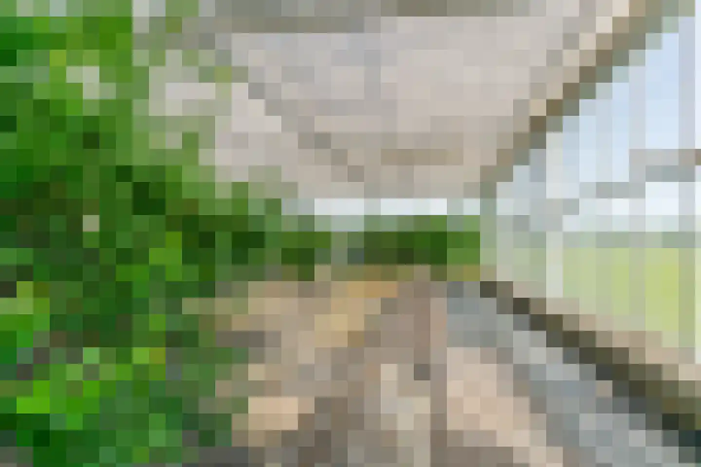 Heermanszwet 21 Rijsenhout thumbnail 69