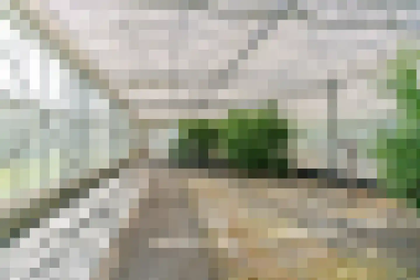 Heermanszwet 21 Rijsenhout thumbnail 70