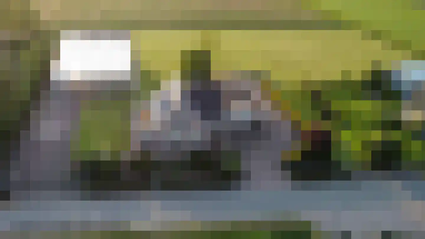 Heermanszwet 21 Rijsenhout thumbnail 76