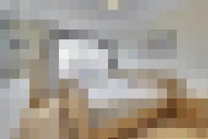 Heermoesstraat 11 Maasbree thumbnail 11