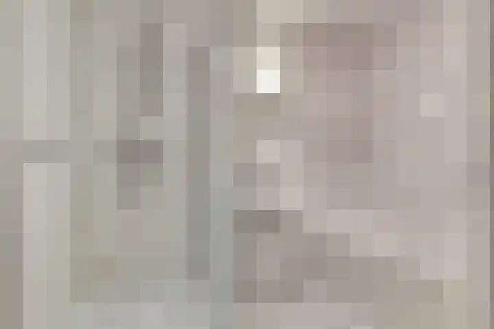 Heermoesstraat 11 Maasbree thumbnail 13