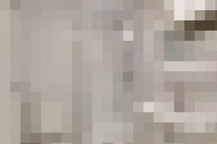 Heermoesstraat 11 Maasbree thumbnail 14