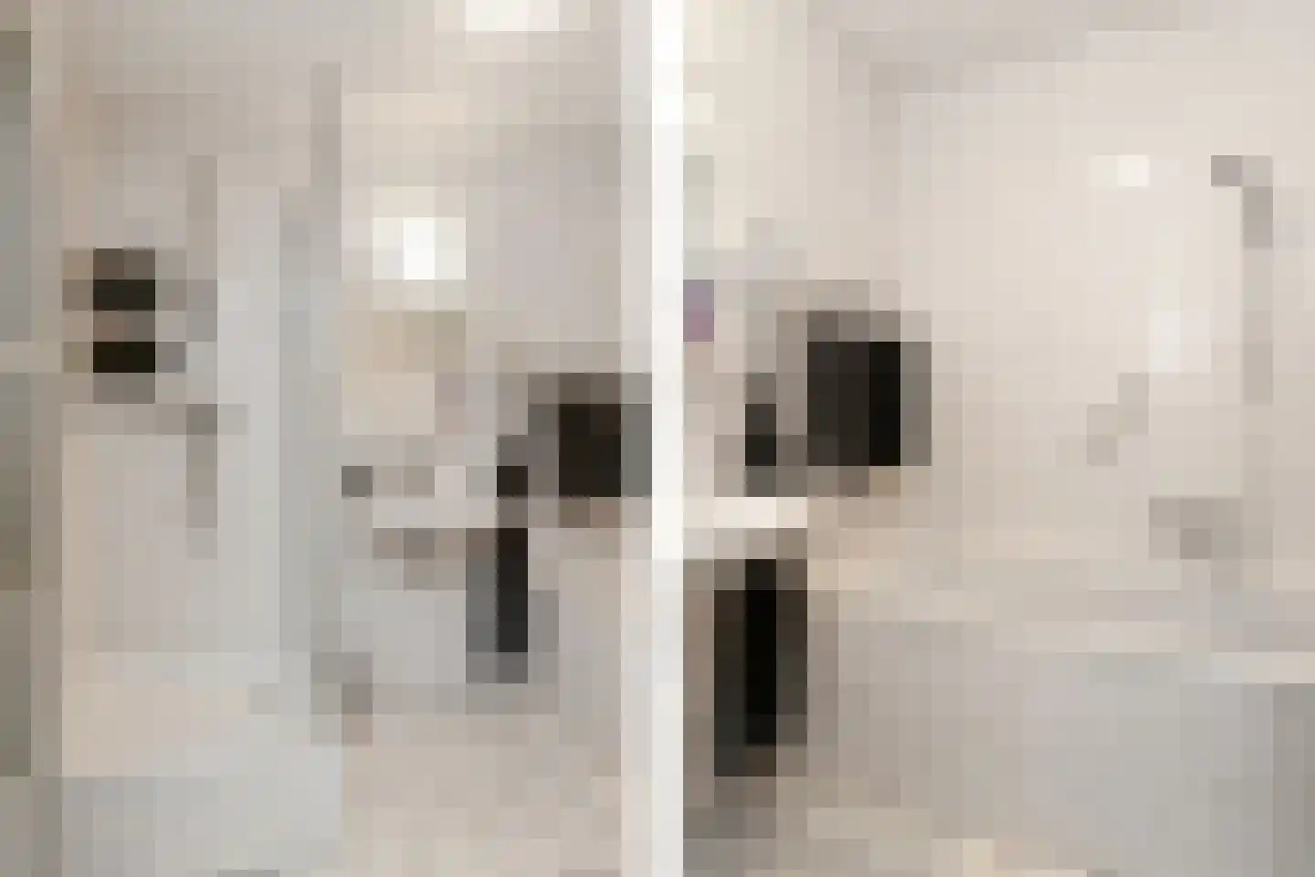 Heermoesstraat 11 Maasbree thumbnail 15
