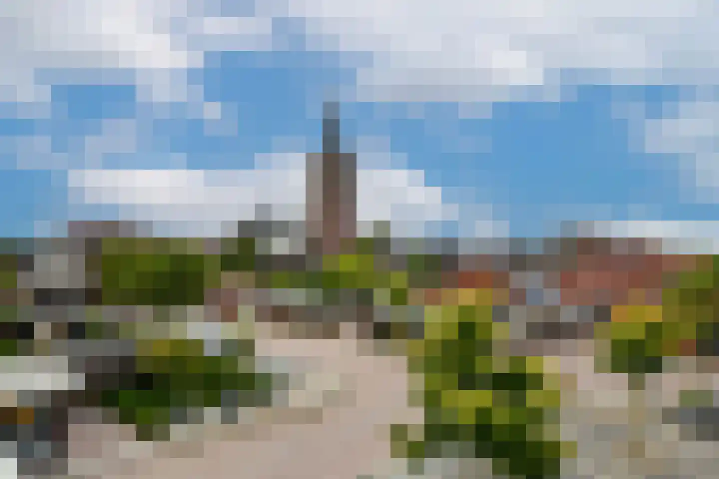 Heermoesstraat 11 Maasbree thumbnail 18