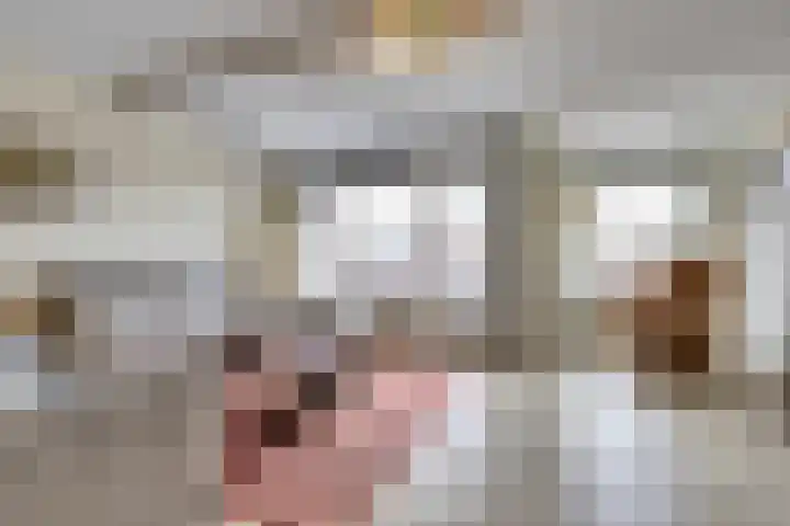 Heermoesstraat 11 Maasbree thumbnail 4