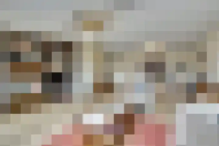 Heermoesstraat 11 Maasbree thumbnail 5