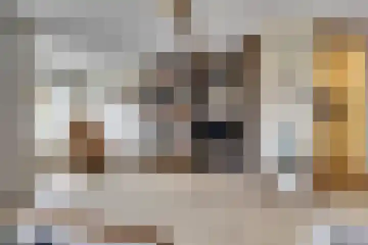 Heermoesstraat 11 Maasbree thumbnail 6