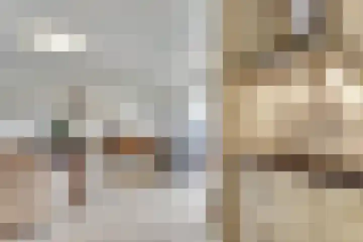 Heermoesstraat 11 Maasbree thumbnail 9