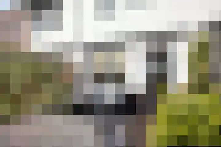 Heermoesstraat 19 's-Hertogenbosch thumbnail 22