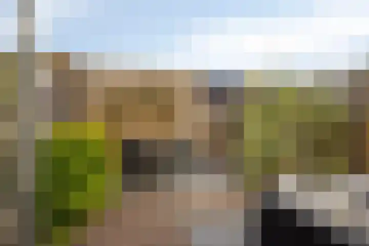 Heermoesstraat 19 's-Hertogenbosch thumbnail 4