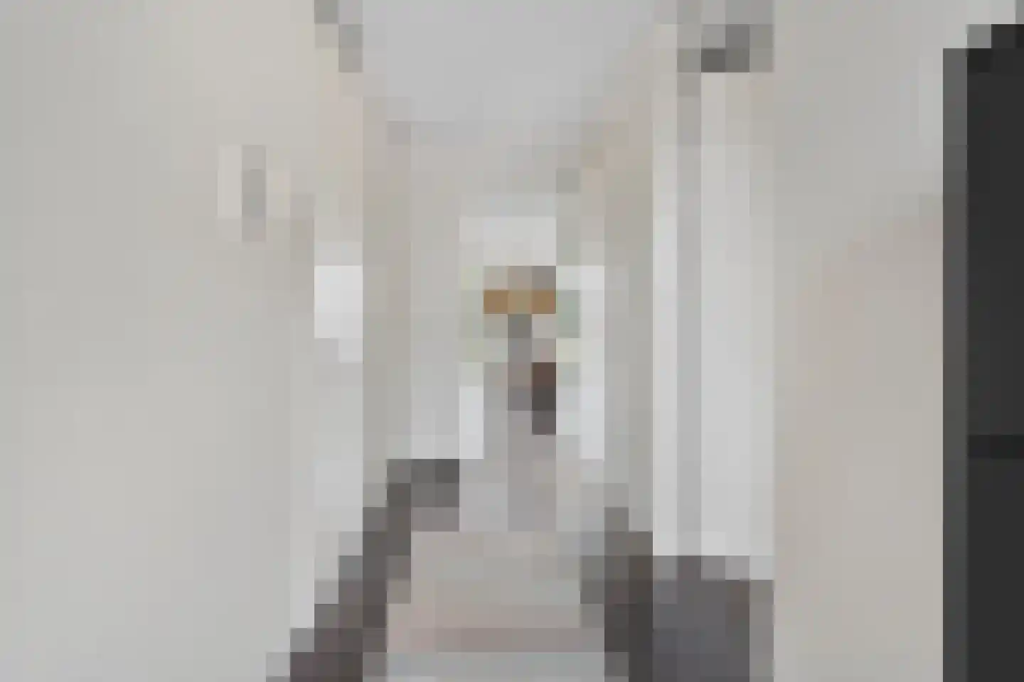 Heermoesstraat 42 Arnhem thumbnail 4