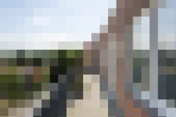 Heermoesstraat 44 Arnhem thumbnail 7