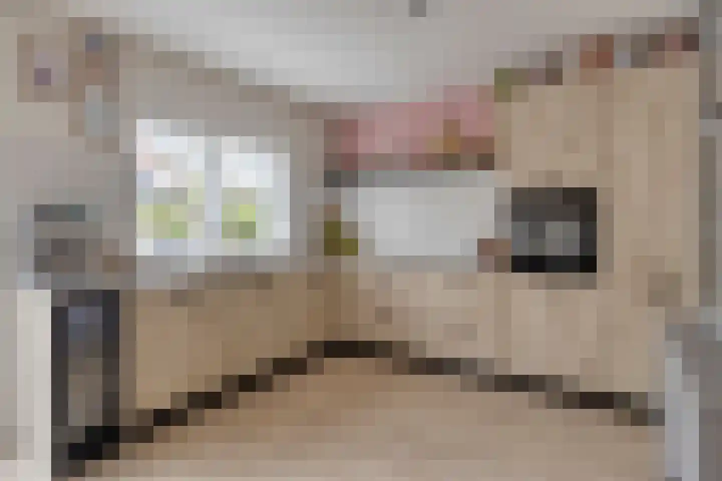 Heernisseweg 130 Goes thumbnail 13