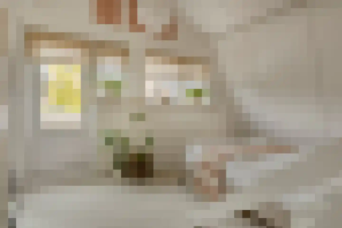 Heernisseweg 130 Goes thumbnail 22