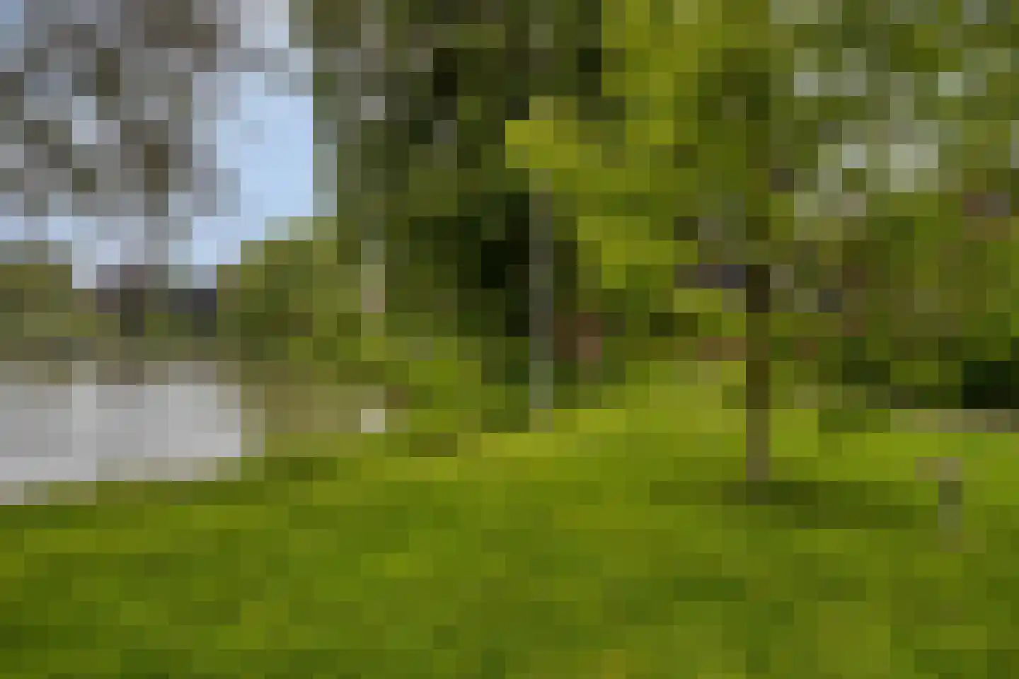 Heernisseweg 130 Goes thumbnail 36