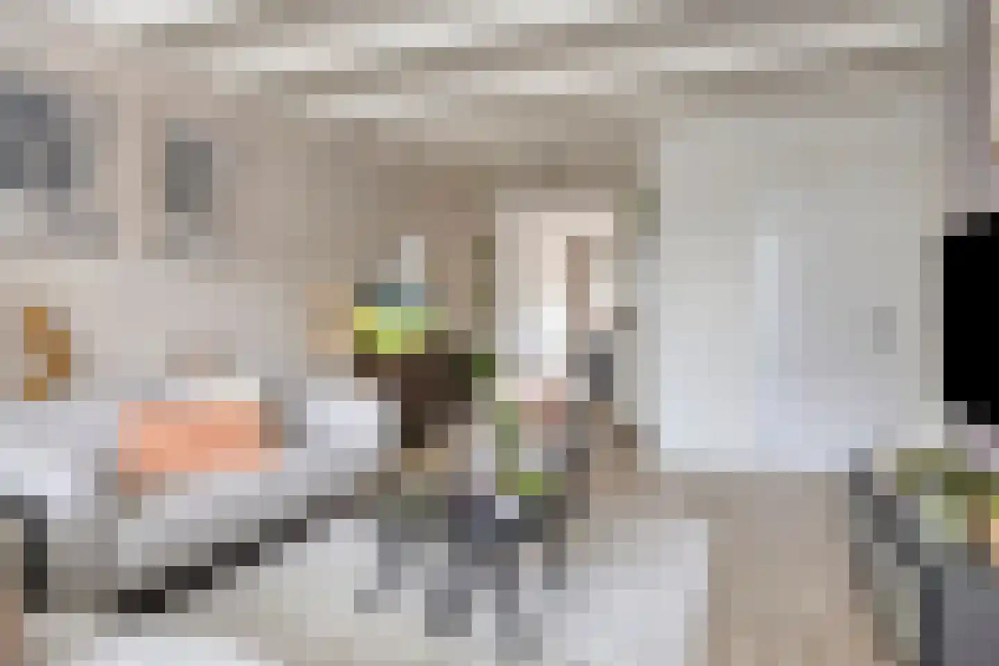 Heernisseweg 130 Goes thumbnail 5
