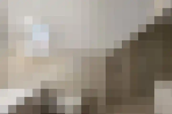 Heernisseweg 142 Goes thumbnail 17