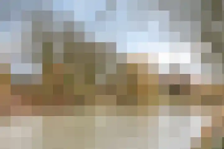 Heernisseweg 142 Goes thumbnail 27