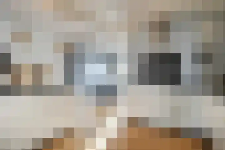 Heernisseweg 142 Goes thumbnail 8