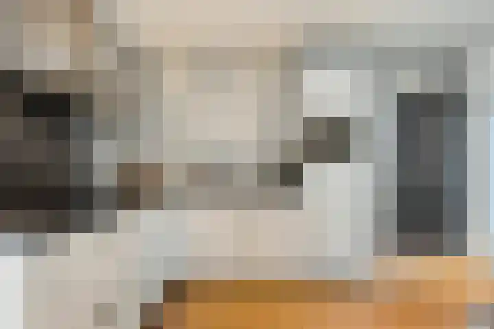 Heernisseweg 142 Goes thumbnail 9