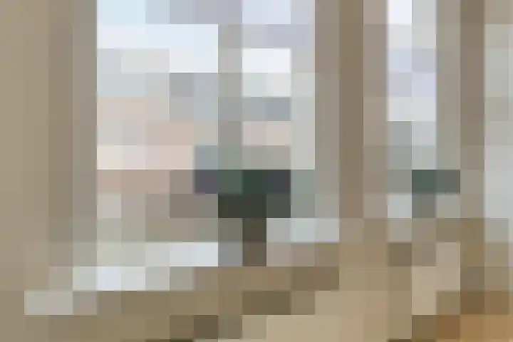 Heernisseweg 31 Goes thumbnail 10