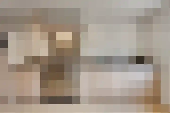 Heernisseweg 31 Goes thumbnail 13