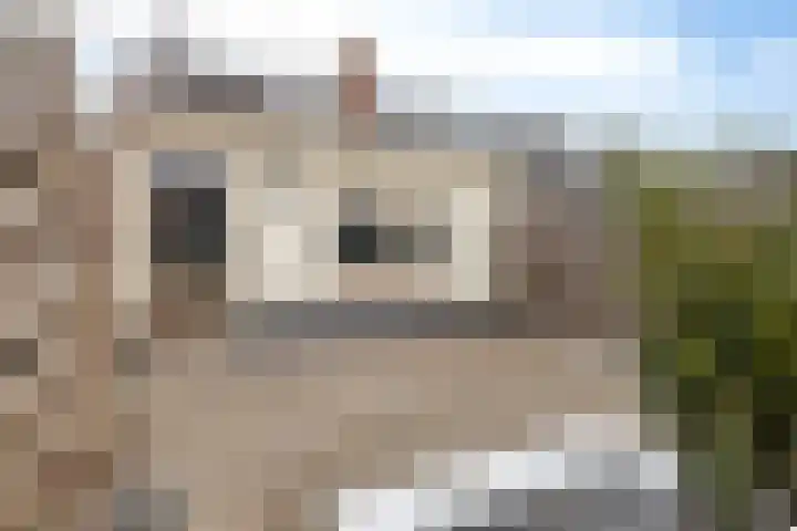 Heernisseweg 31 Goes thumbnail 30