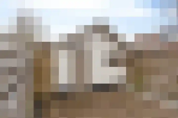 Heernisseweg 31 Goes thumbnail 32