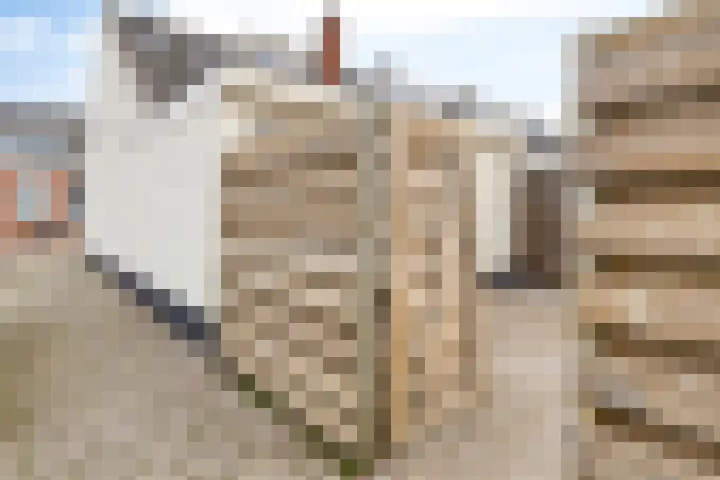 Heernisseweg 31 Goes thumbnail 36