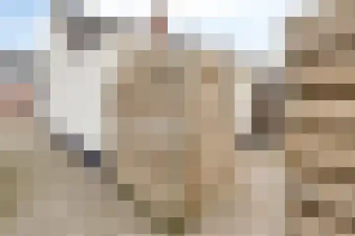 Heernisseweg 31 Goes thumbnail 36