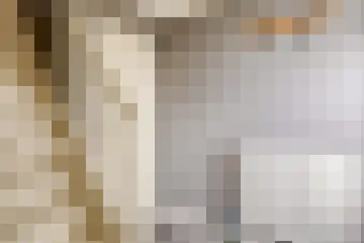 Heernisseweg 44 Goes thumbnail 11